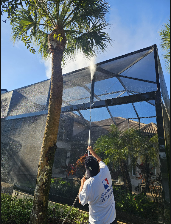 Pressure Washing 2