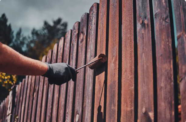 Fence Painting